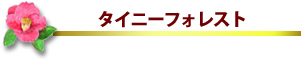 �^�C�j�[�@�t�H���X�g